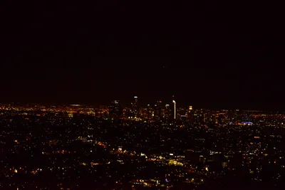 DSC_5654 (Large).JPG